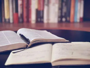 philosophy books for beginners