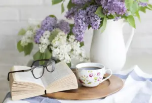 what is a cozy mystery